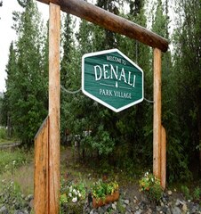 Denali National Park - Alaska