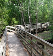 Shingle Creek Trail - Orlando